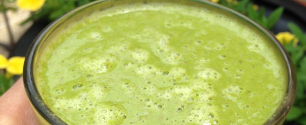 Replenishing Apricot Green Smoothie