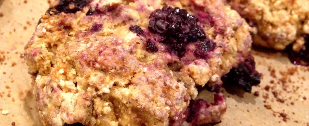 Wild Blackberry Lemon Zest Scones (& the Glycemic Index)