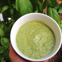 Pesto Everything: Raw, Nut-free & With/Without Garlic