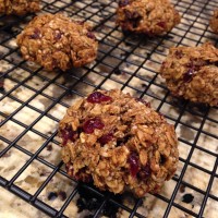 Anytime Or Anywhere Oatmeal Cranberry Cookies