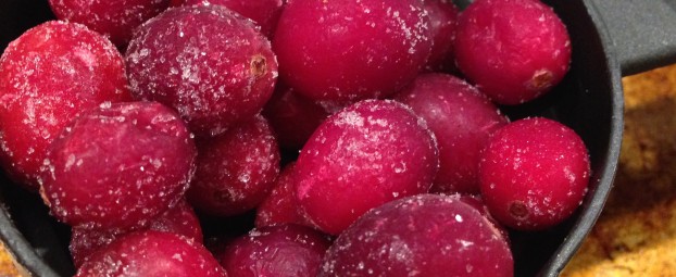 Pre-Thanksgiving:  Cran-apple Cinnamon Smoothie
